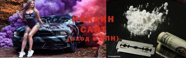 a pvp Гусев
