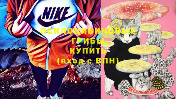 прущие крисы Нея