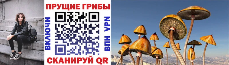 сколько стоит Юрюзань Псилоцибиновые грибы ЛСД
